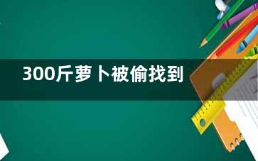 300斤萝卜被偷找到已成萝卜丝 不以恶小而为之贪小便宜吃大亏